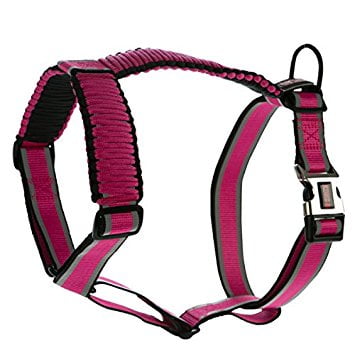 kong dog collars and leashes kong dog collars and leashes